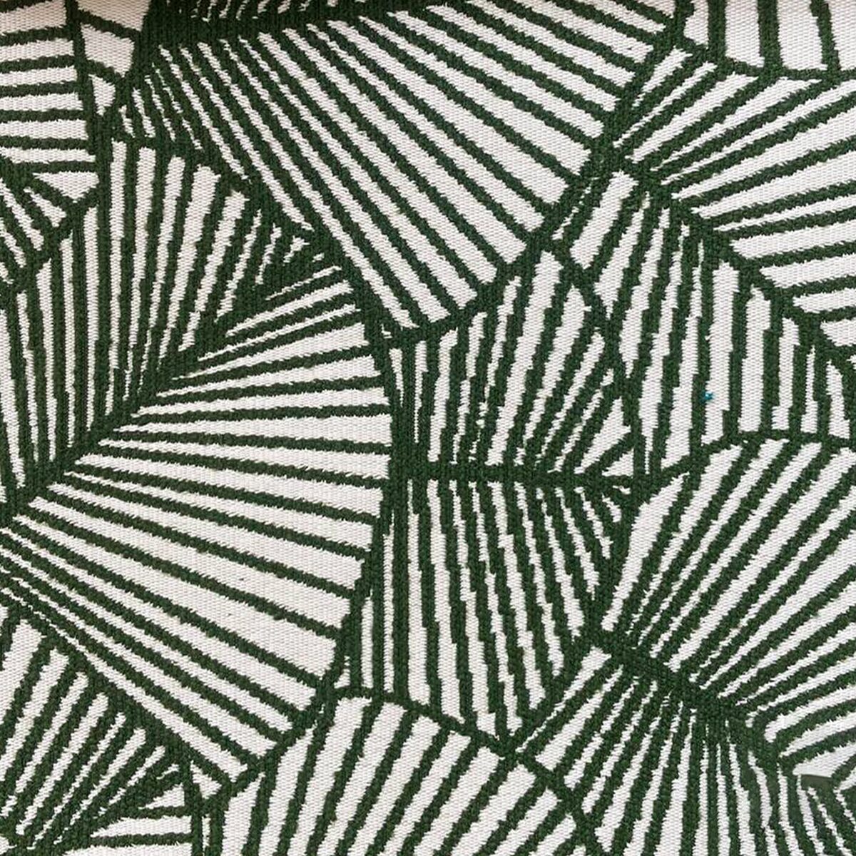 Montessori-oliva (1)