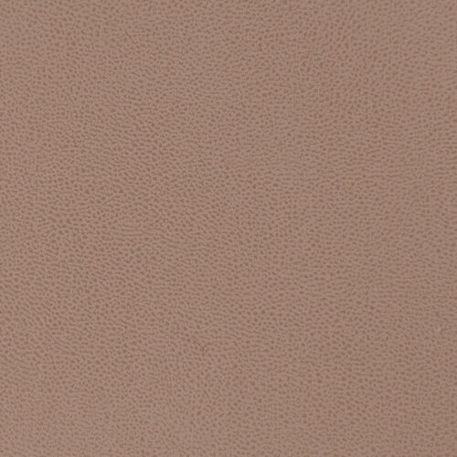 Vani Beige