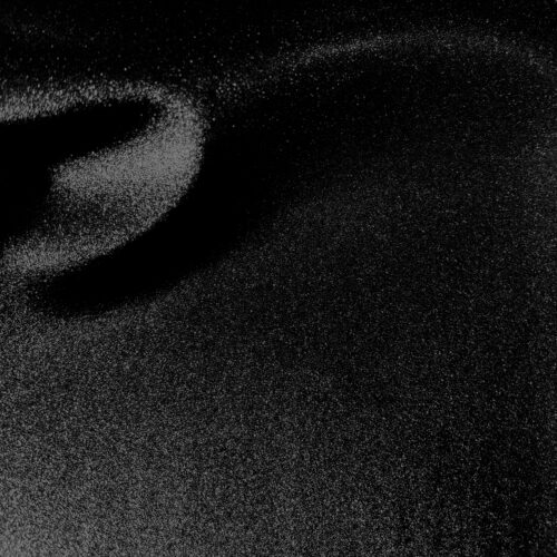 bUCLE nEGRO wb