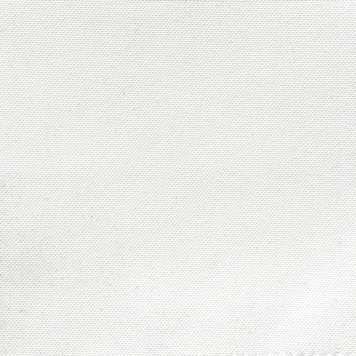 canvas-blanco 1