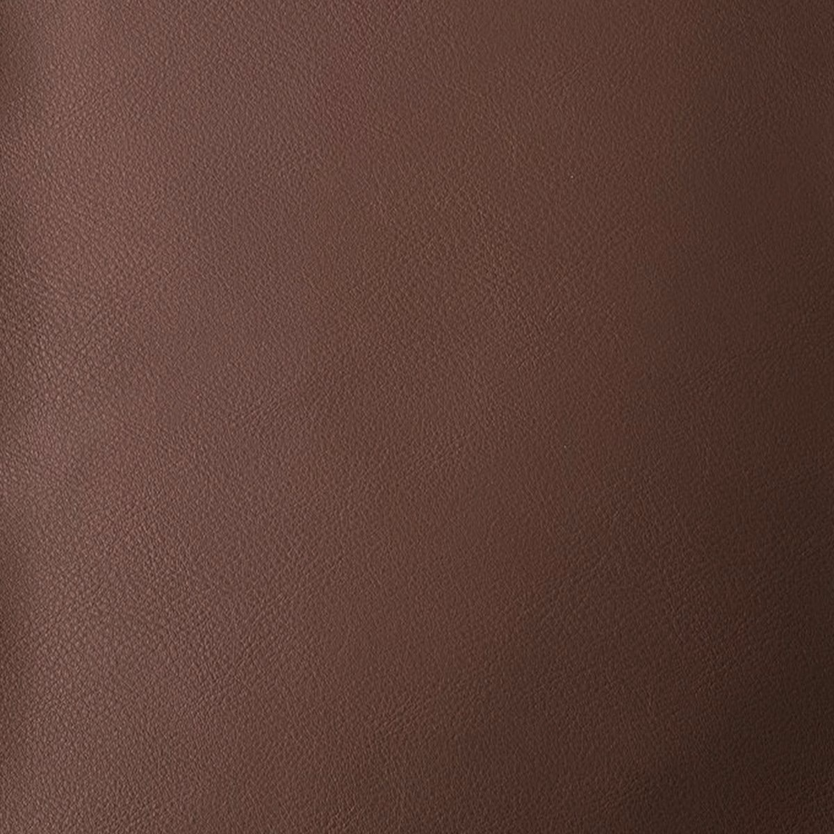 *cerruti (nueva colección)