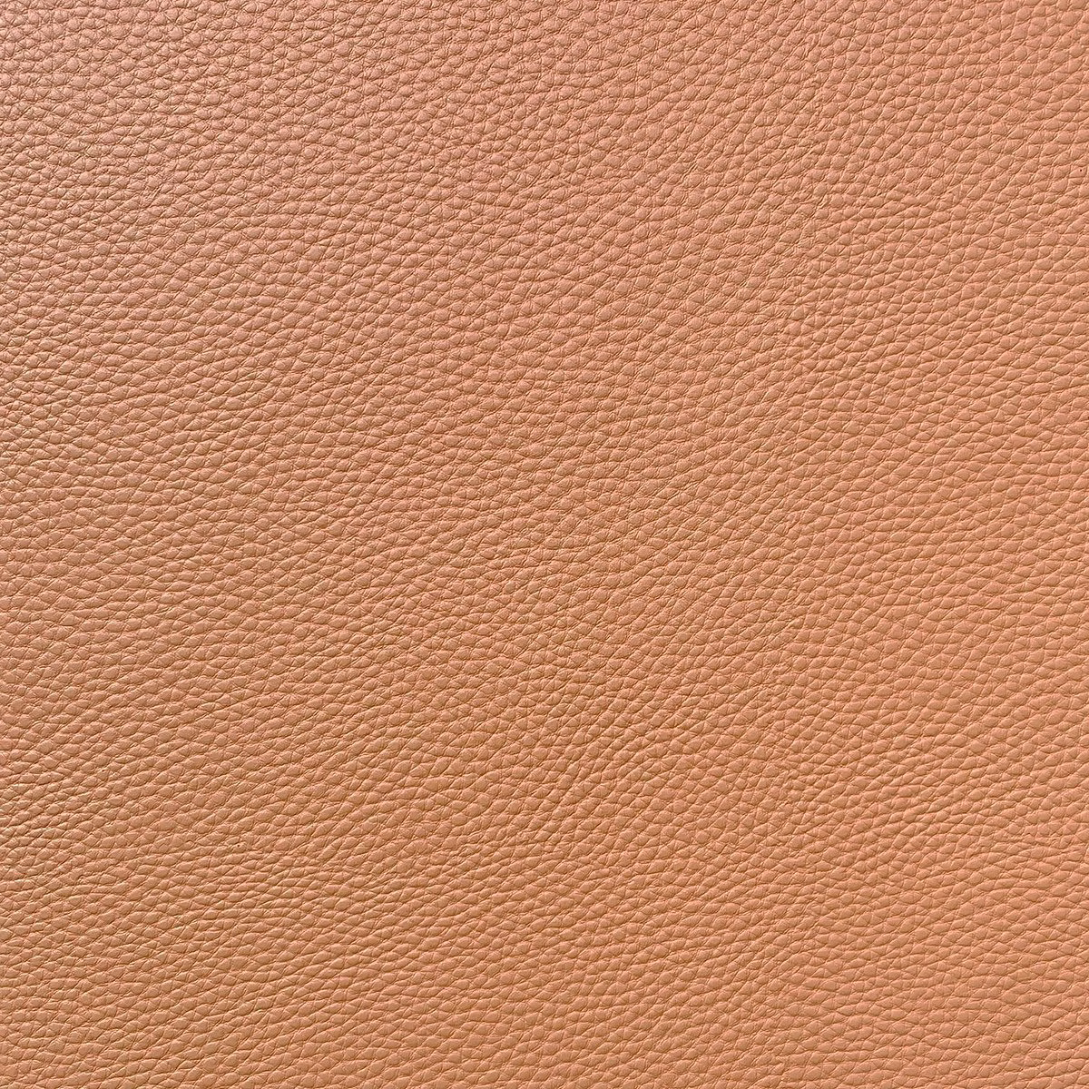 *cetti (nueva colección)