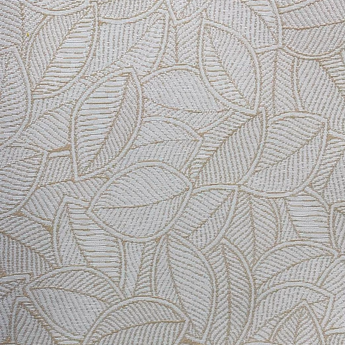 *ciénaga marfil (nueva colección)