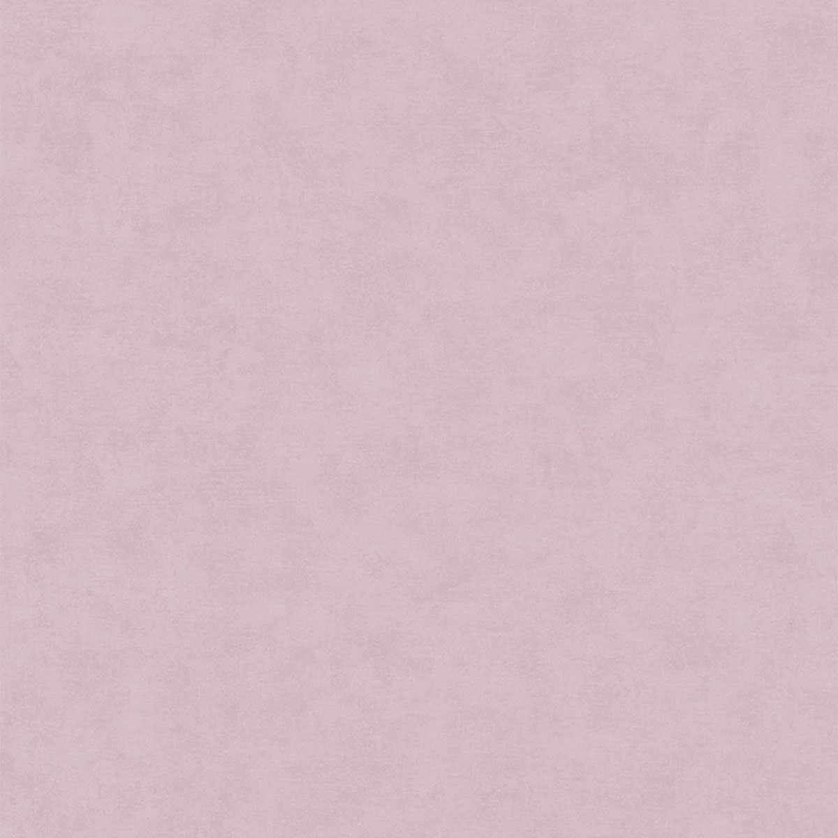 city-g-34422-producto