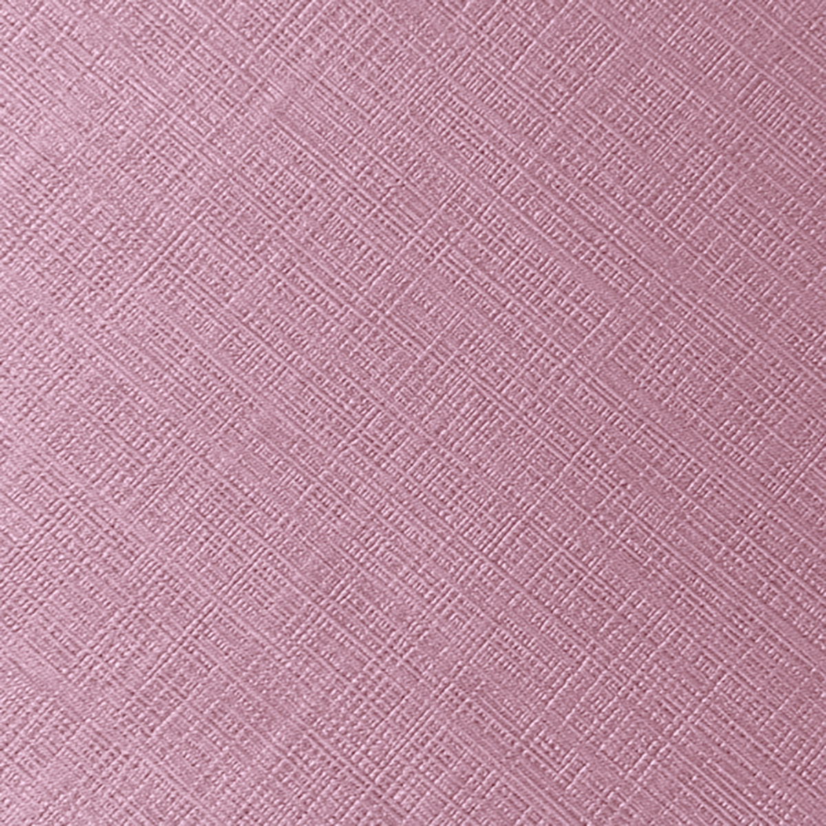 lorna-rosa