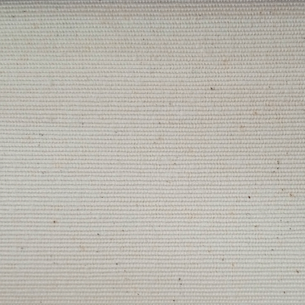 montecarlo cotton