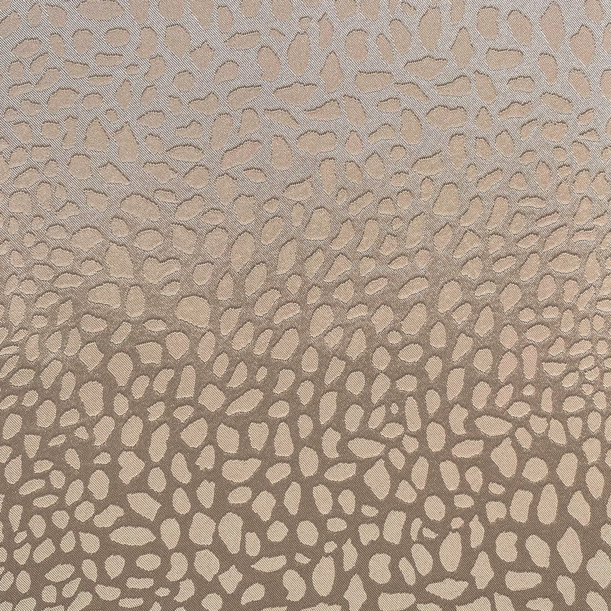 *scarpa (nueva colección)