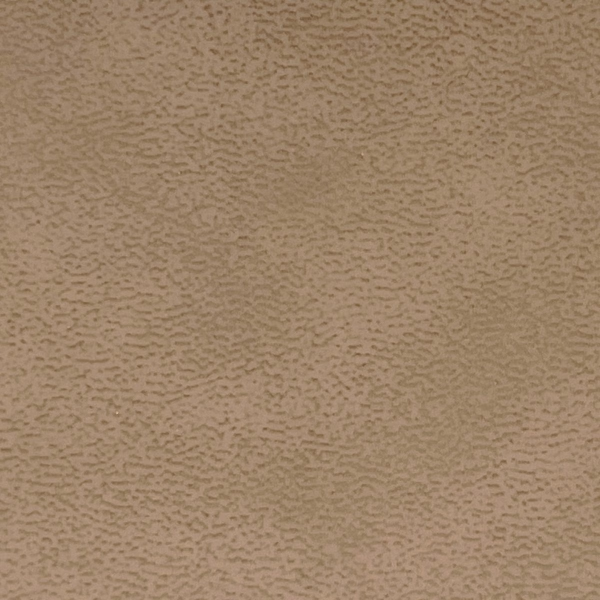 *warhol (nueva colección)